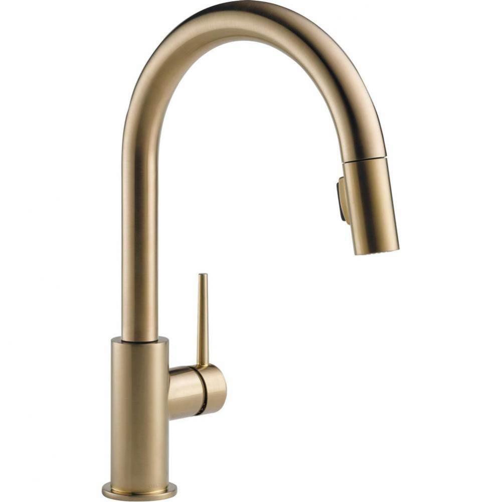 Trinsic&#xae; Single Handle Pull-Down Kitchen Faucet